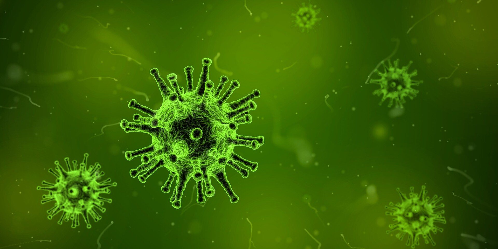 Resultado de imagen de coronavirus 2019