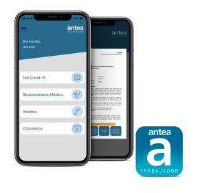 app-antea-trabajador